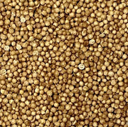 Koriander ganz Körner